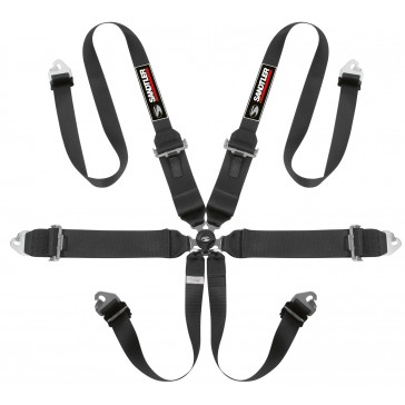 6-point harness with HANS
