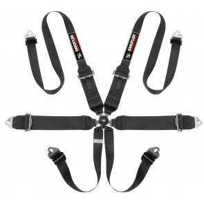 Sandtler 6-point harness with HANS